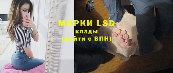 гашик Алексин