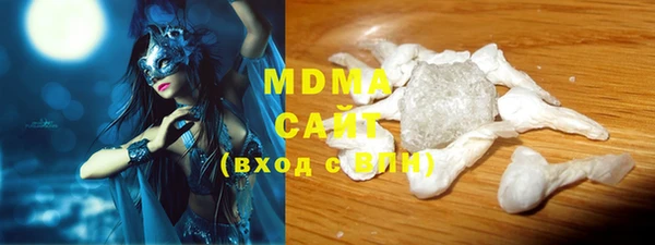 гашик Алексин
