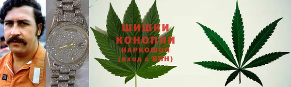 MDMA Новозыбков