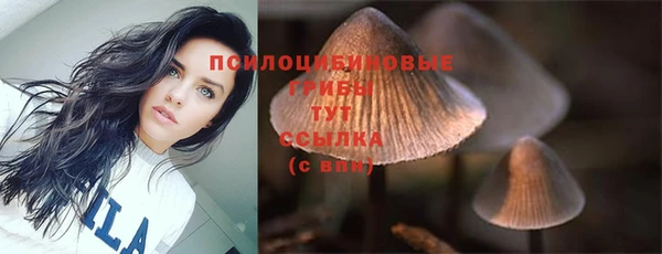 COCAINE Алзамай