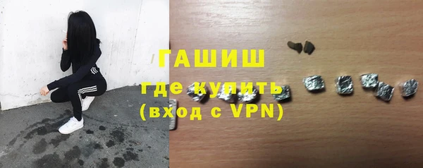гашик Алексин