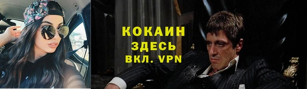 гашик Алексин