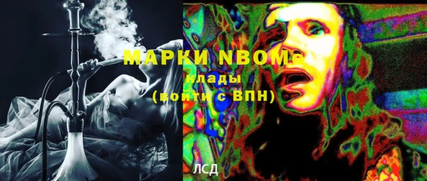 гашик Алексин