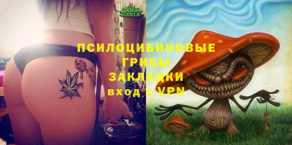 винт Новокубанск