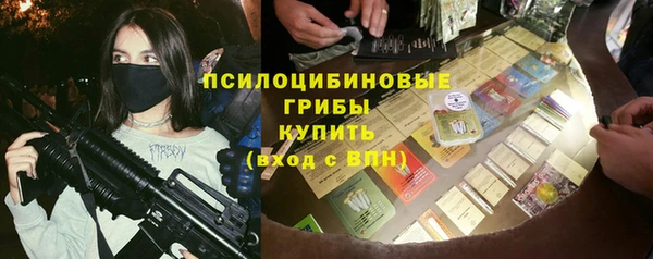 амф Новодвинск