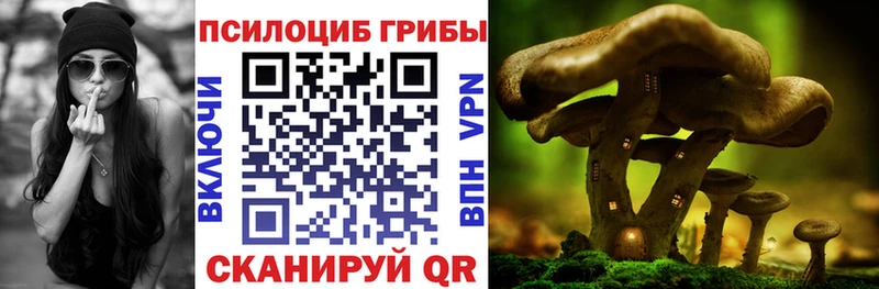 Псилоцибиновые грибы мицелий  купить  сайты  OMG зеркало  Юрьевец 